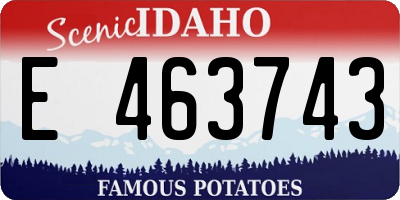ID license plate E463743
