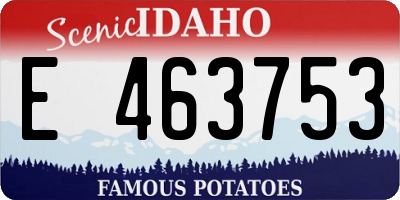 ID license plate E463753