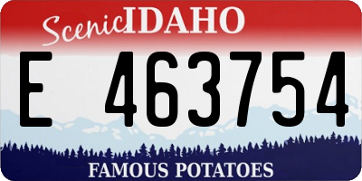 ID license plate E463754