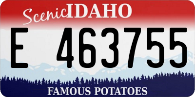 ID license plate E463755
