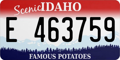 ID license plate E463759