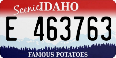ID license plate E463763