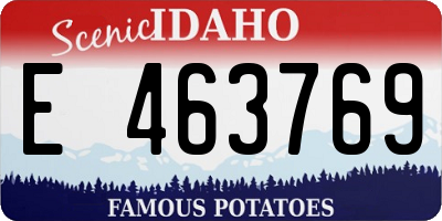 ID license plate E463769