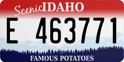 ID license plate E463771