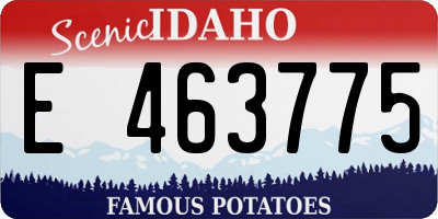 ID license plate E463775