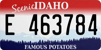 ID license plate E463784