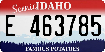 ID license plate E463785