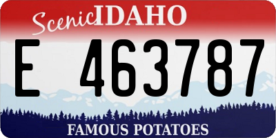 ID license plate E463787