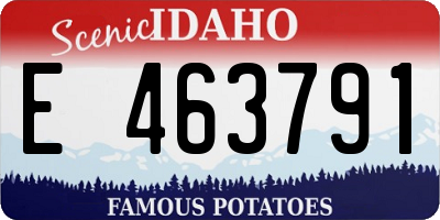 ID license plate E463791