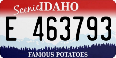 ID license plate E463793