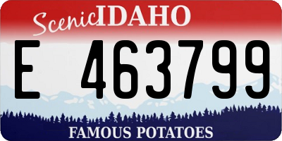 ID license plate E463799