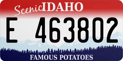 ID license plate E463802