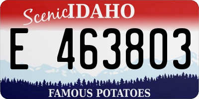 ID license plate E463803