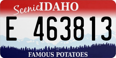 ID license plate E463813