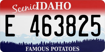 ID license plate E463825