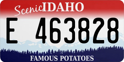 ID license plate E463828