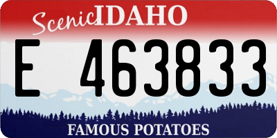 ID license plate E463833