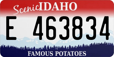 ID license plate E463834