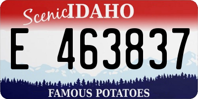 ID license plate E463837