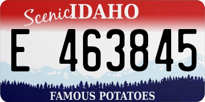 ID license plate E463845