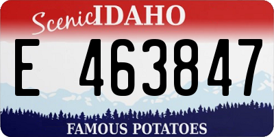 ID license plate E463847