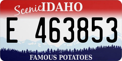 ID license plate E463853
