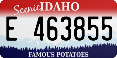 ID license plate E463855