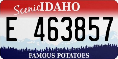 ID license plate E463857