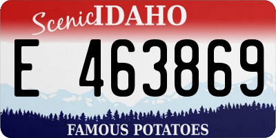 ID license plate E463869