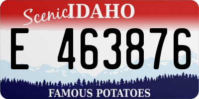 ID license plate E463876