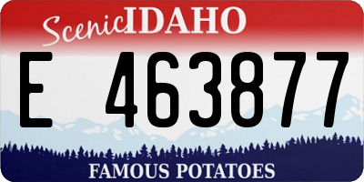 ID license plate E463877