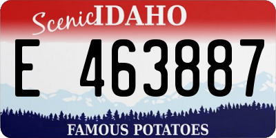 ID license plate E463887