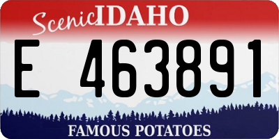 ID license plate E463891
