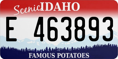 ID license plate E463893