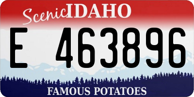 ID license plate E463896