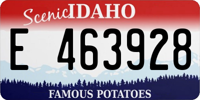 ID license plate E463928