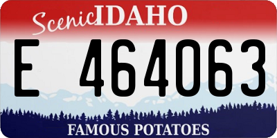 ID license plate E464063