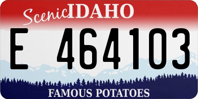 ID license plate E464103