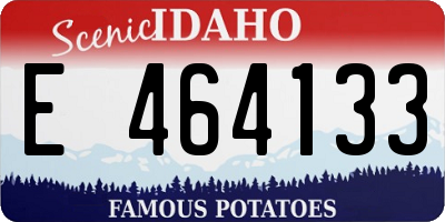 ID license plate E464133