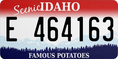 ID license plate E464163