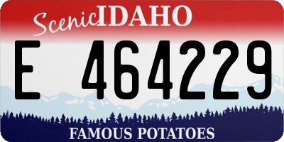 ID license plate E464229