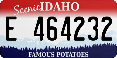 ID license plate E464232
