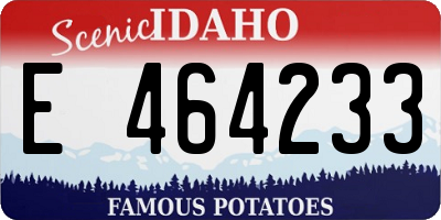ID license plate E464233