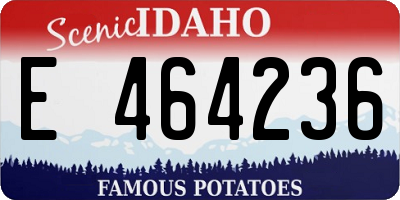 ID license plate E464236