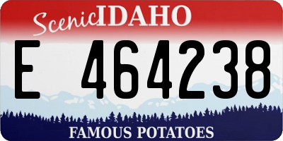 ID license plate E464238