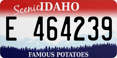 ID license plate E464239