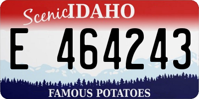ID license plate E464243