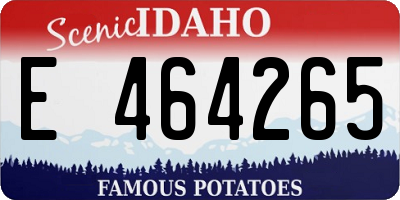 ID license plate E464265