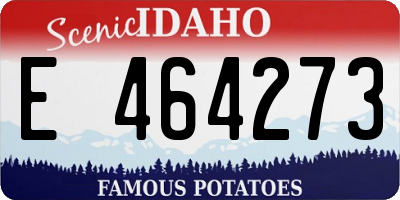 ID license plate E464273