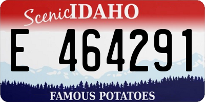 ID license plate E464291